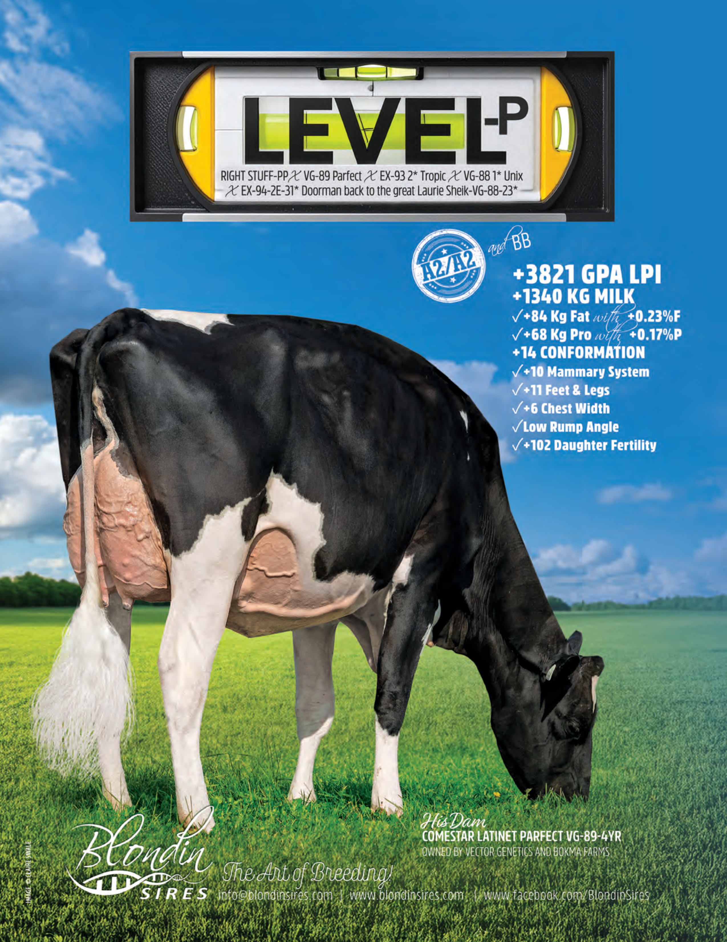 LEVEL-P — 799HO00150